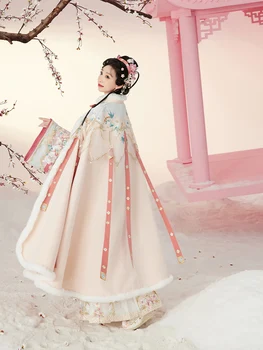 Pliušinis Išsiuvinėti Apsiaustas Moterų Kinijos Tradicinės Striukė Tang Dinastijos Princesė Drabužius Moterų Elegantiškas Hanfu Kailis DQL6692 Nuotrauka 2